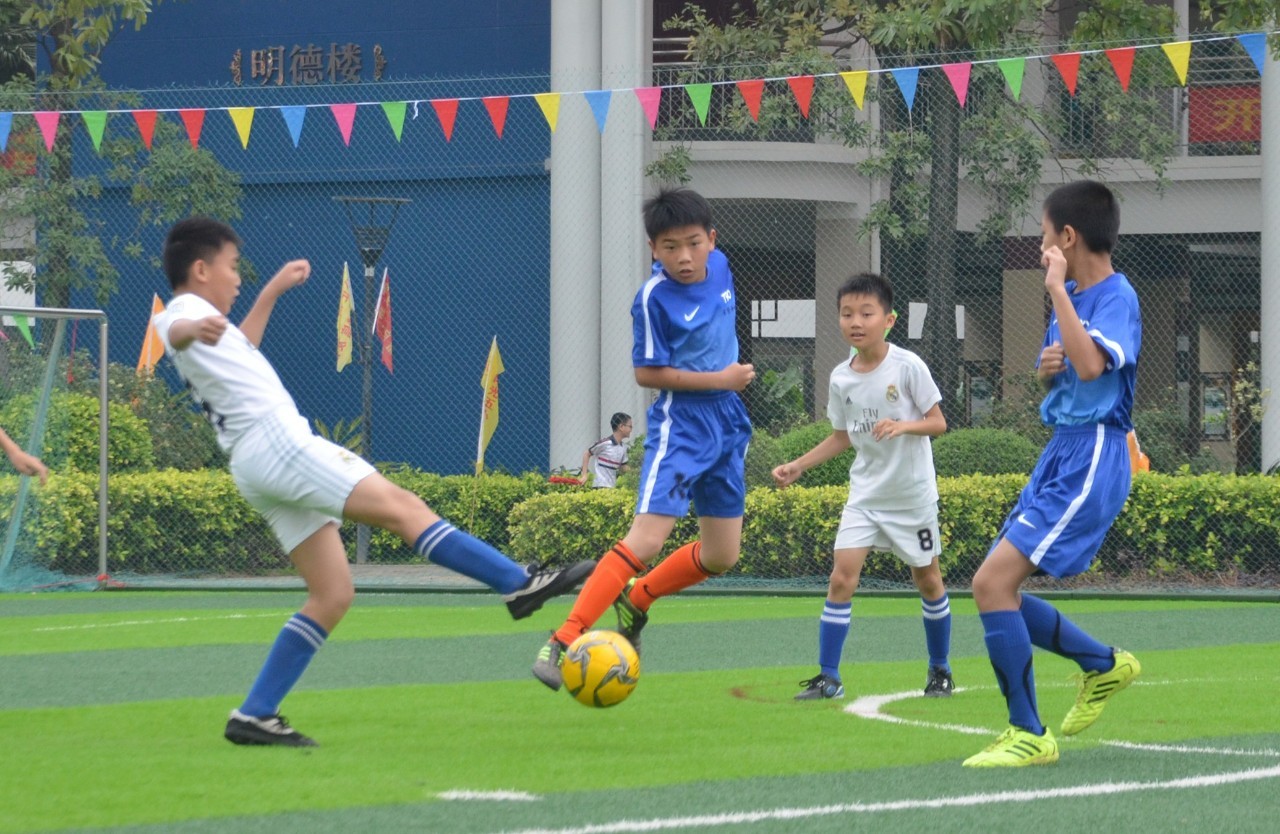 哈兰德重返 哈兰德重返