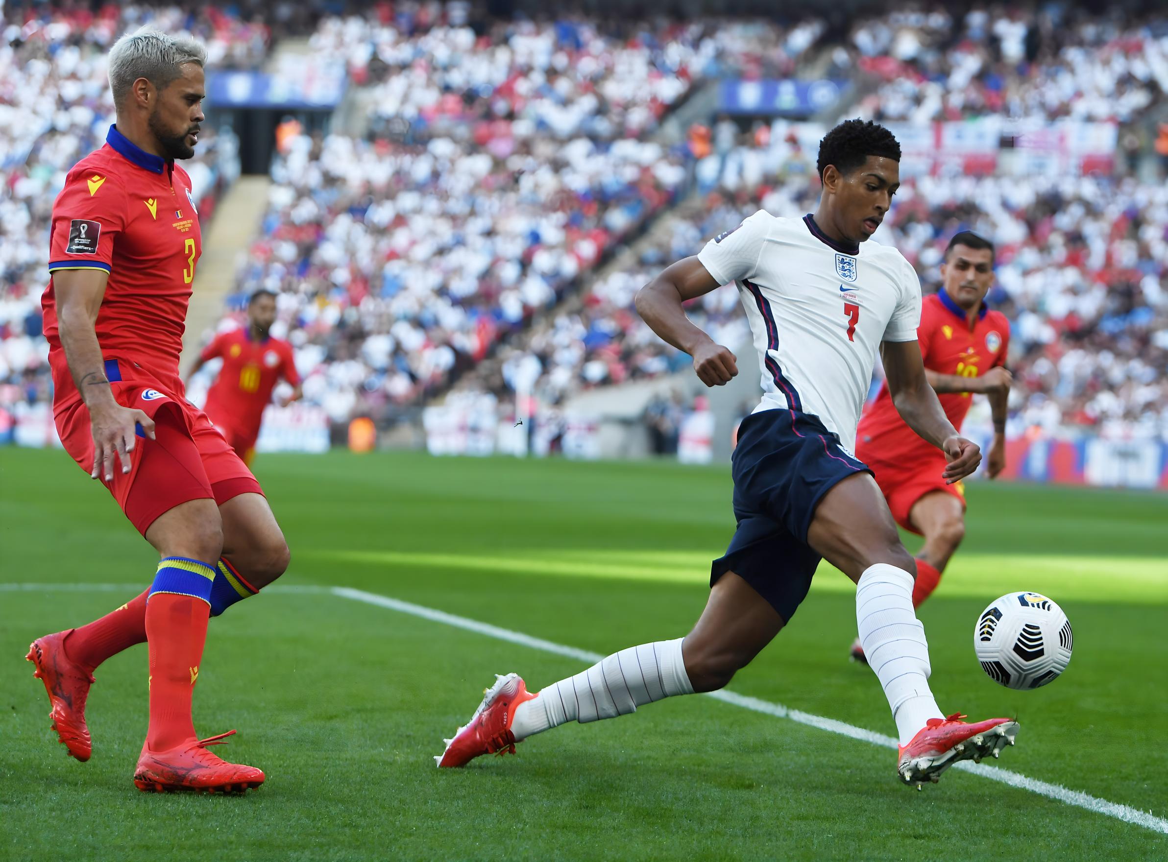 多罗泰娅加 多罗泰娅加