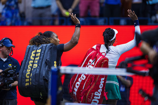 球迷已见到 球迷已见到