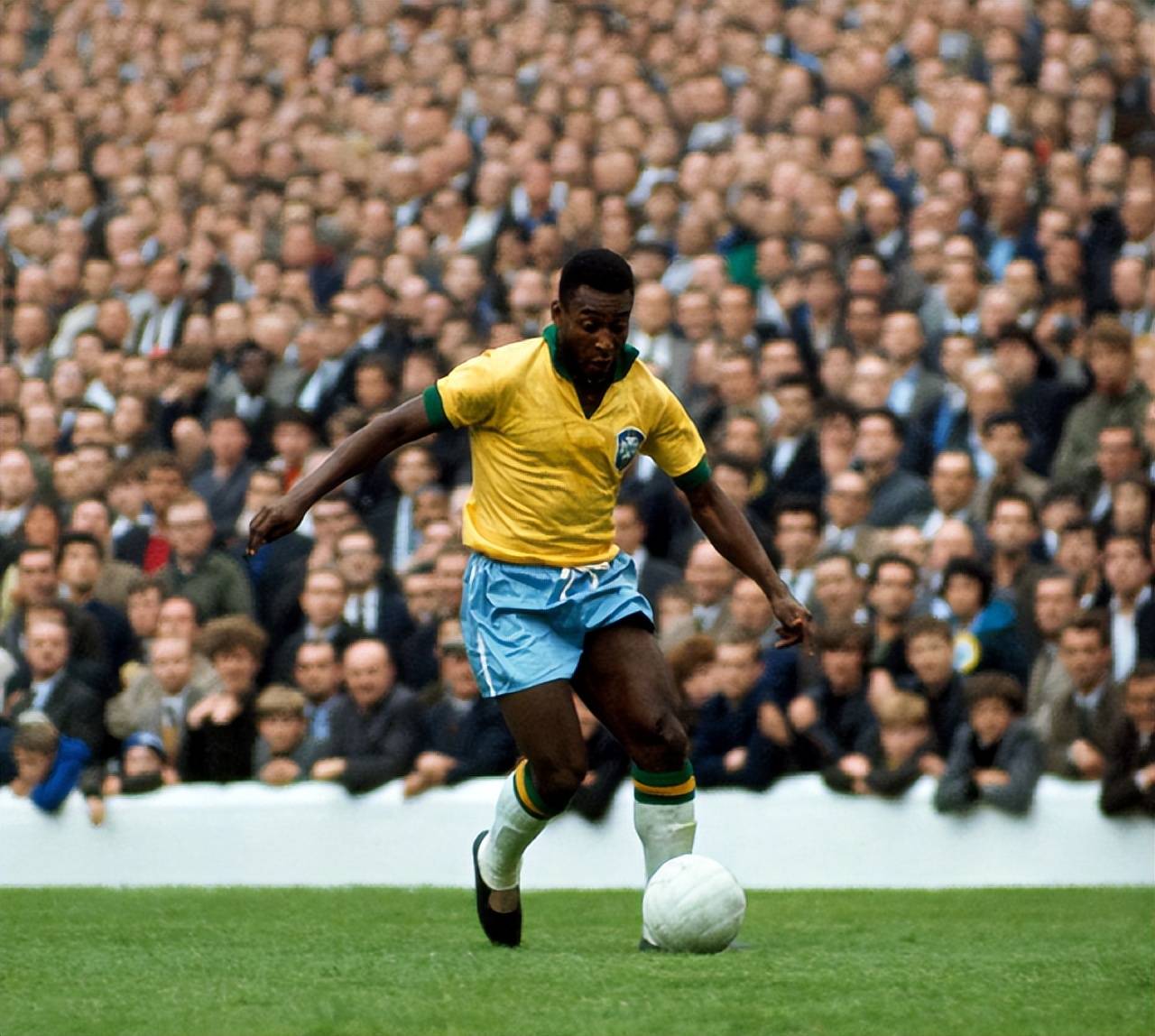 打乱他的第 打乱他的第